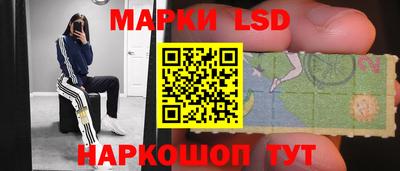 прущие грибы Кингисепп