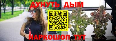 прущие грибы Кингисепп