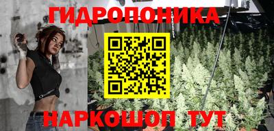 прущая мука Кимры
