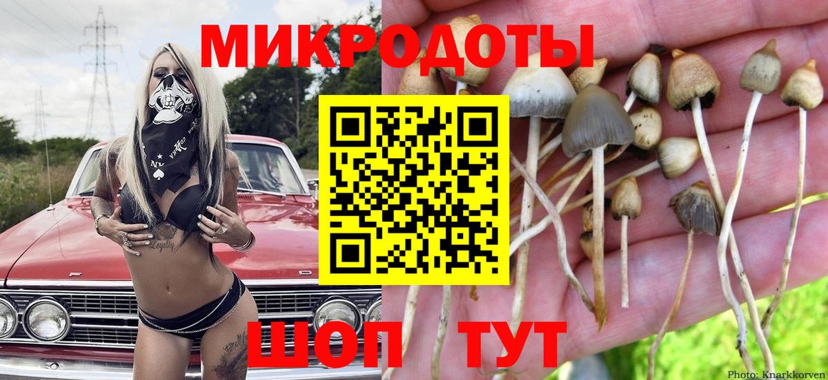 Кузнецк  Галлюциногенные грибы MAGIC MUSHROOMS  Вход с VPN 